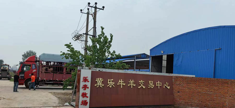 河北省唐山市乐亭县冀乐牛羊交易中心
