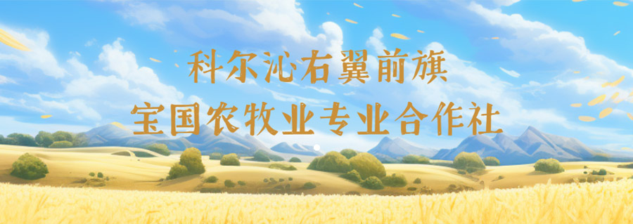 科尔沁右翼前旗宝国农牧业专业合作社